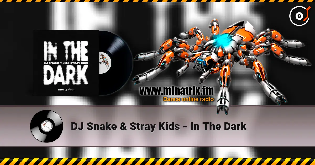 DJ Snake & Stray Kids - In The Dark слухати онлайн у високій якості | Minatrix.FM