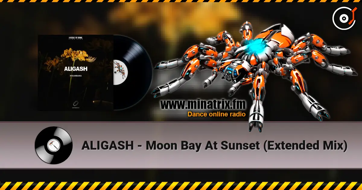 ALIGASH - Moon Bay At Sunset (Extended Mix) слухати онлайн у високій якості | Minatrix.FM