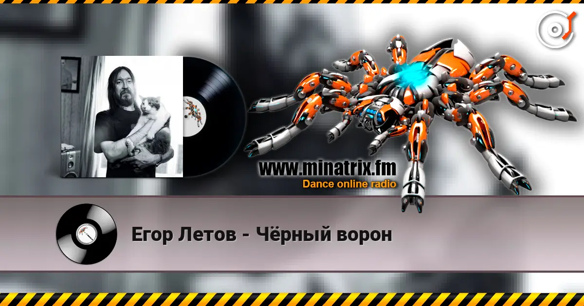 Егор Летов - Чёрный ворон listen online in high quality | Minatrix.FM