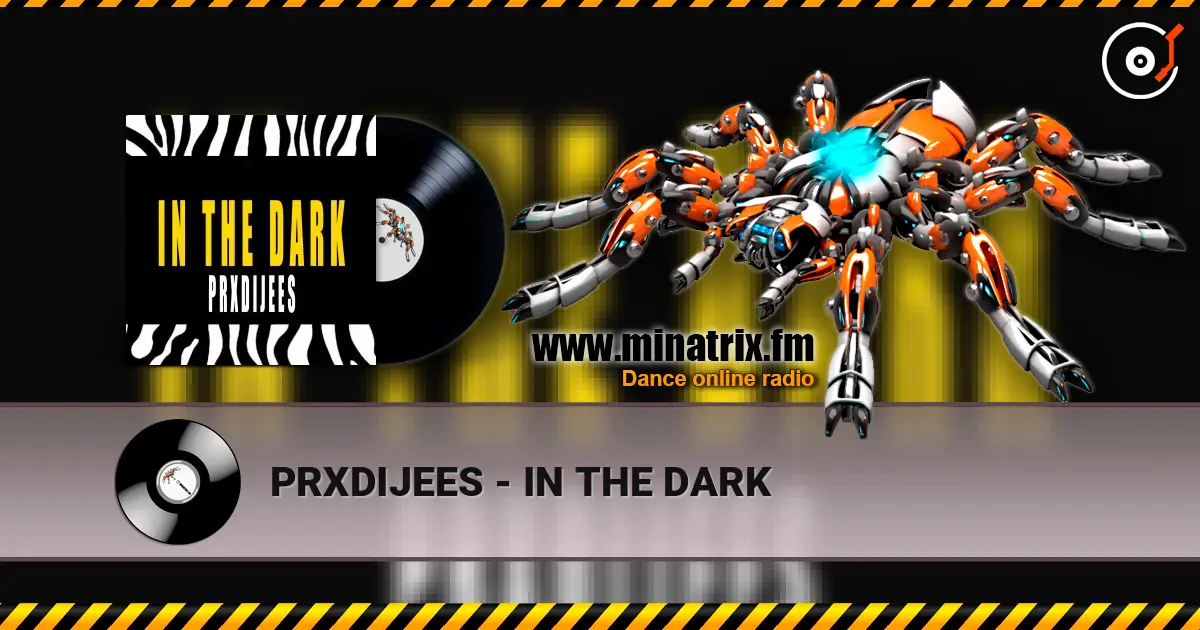PRXDIJEES - IN THE DARK listen online in high quality | Minatrix.FM