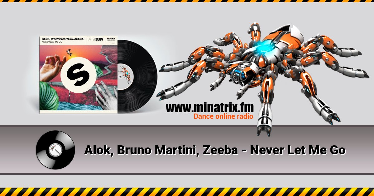 Alok, Bruno Martini, Zeeba - Never Let Me Go Listen online and download MP3