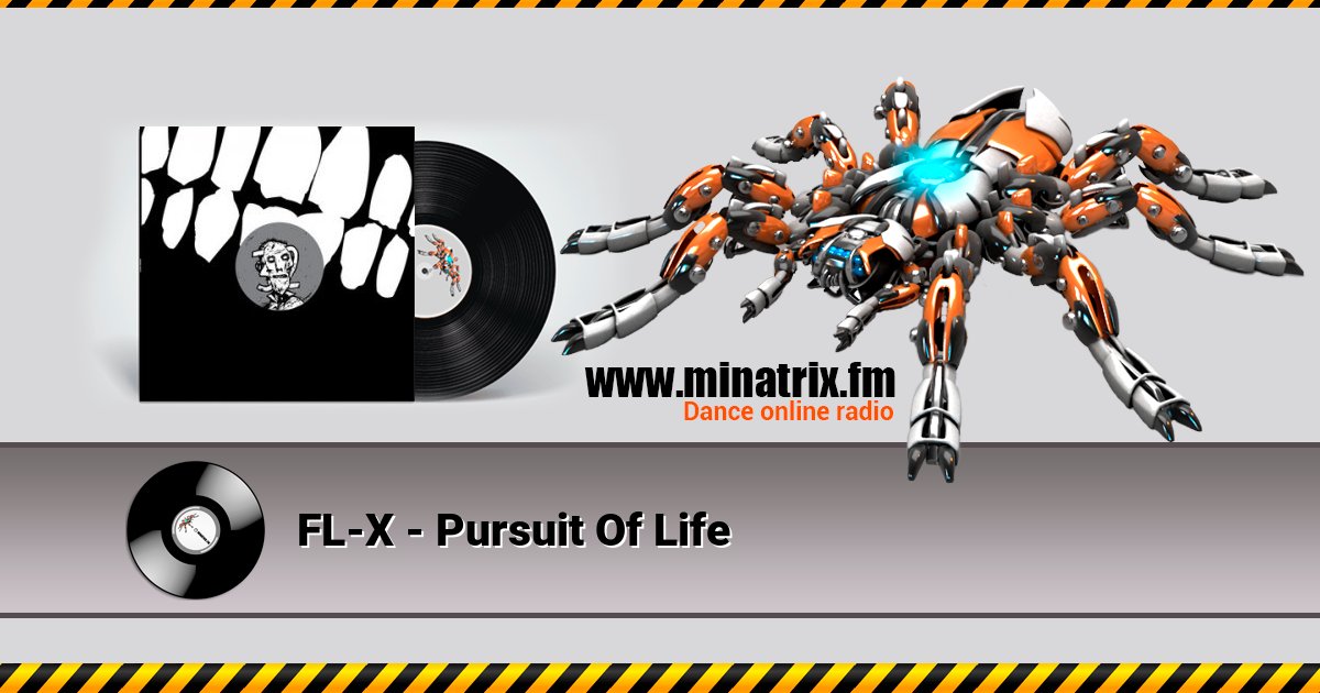 FL-X - Pursuit Of Life FL-X - Pursuit Of Life Listen online and download MP3