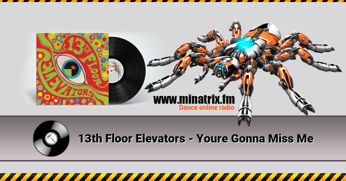 13th Floor Elevators - Youre Gonna Miss Me Listen online and download MP3