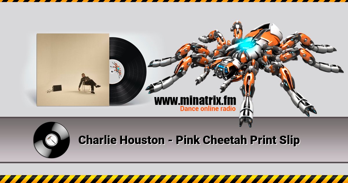 Charlie Houston - Pink Cheetah Print Slip Charlie Houston - Pink Cheetah Print Slip Listen online and download MP3