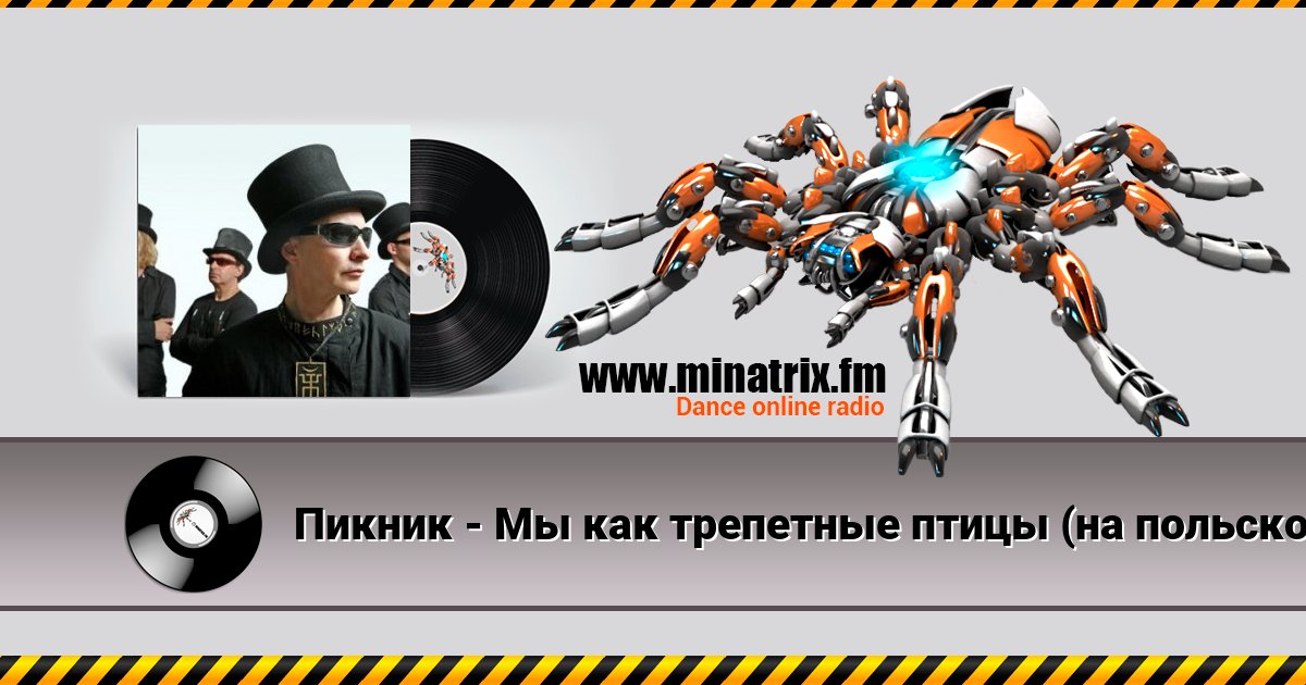 Пикник - Мы как трепетные птицы (на польском языке) Listen online and download MP3