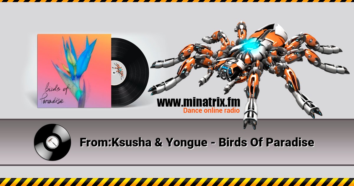 From:Ksusha & Yongue - Birds Of Paradise Listen online and download MP3