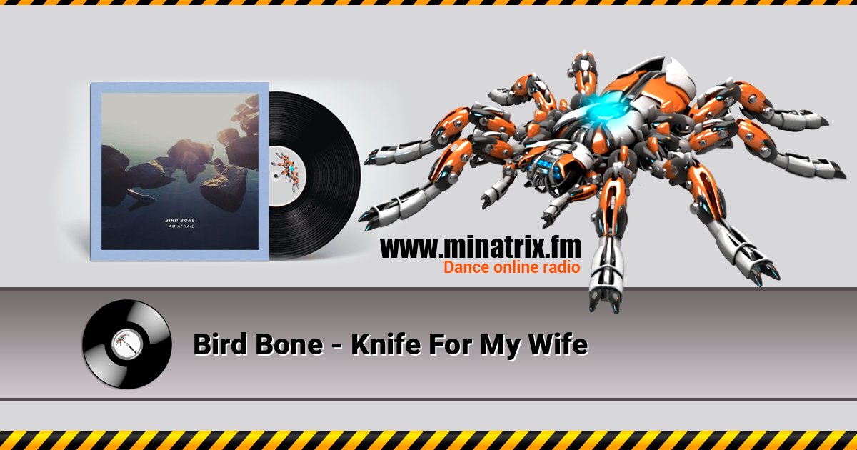 Bird Bone - Knife For My Wife Listen online and download MP3