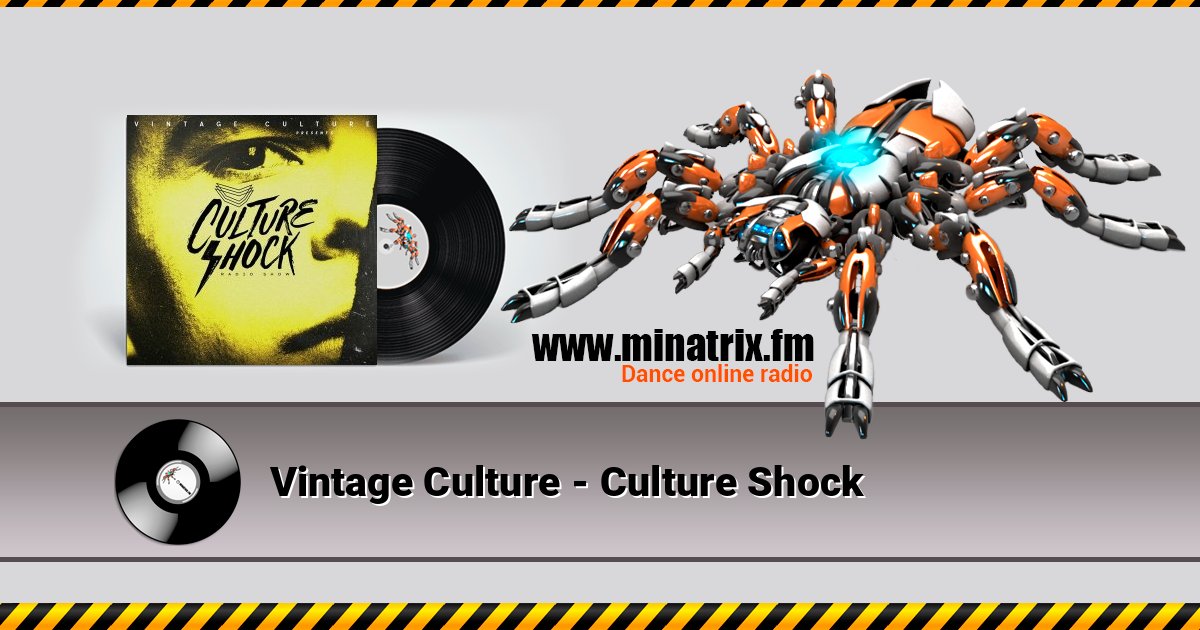 Vintage Culture - Culture Shock Listen online and download MP3