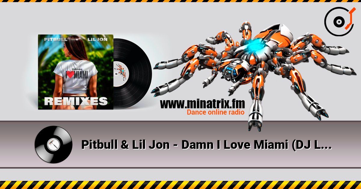 Pitbull & Lil Jon - Damn I Love Miami (DJ Laz Miami Bass Remix & DJ Julian & Danny D) Listen online and download MP3