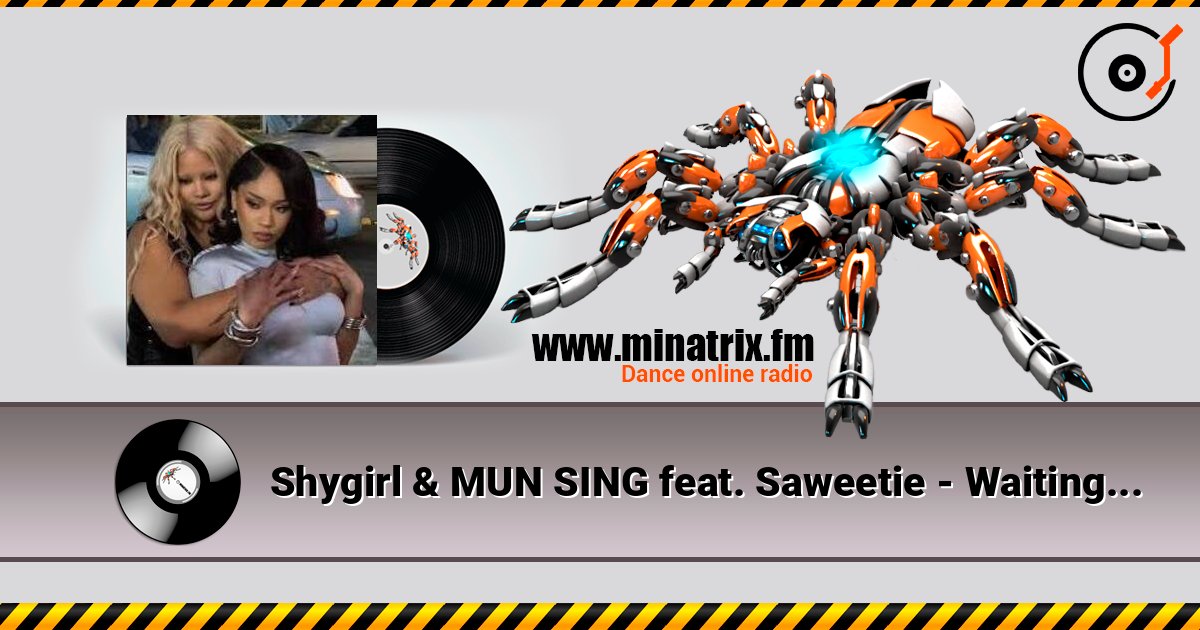 Shygirl & MUN SING feat. Saweetie - Waiting in the Car Слухати онлайн та завантажити MP3