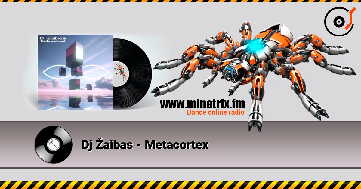 Dj Žaibas - Metacortex Слухати онлайн та завантажити MP3