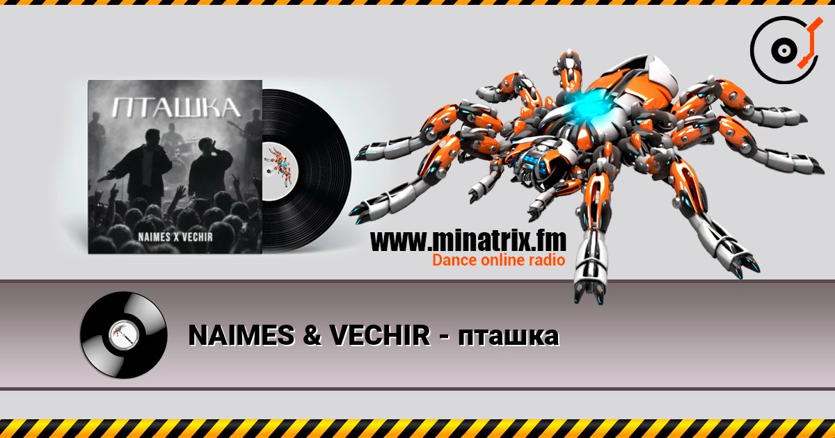 NAIMES & VECHIR - пташка слухати онлайн у високій якості | Minatrix.FM