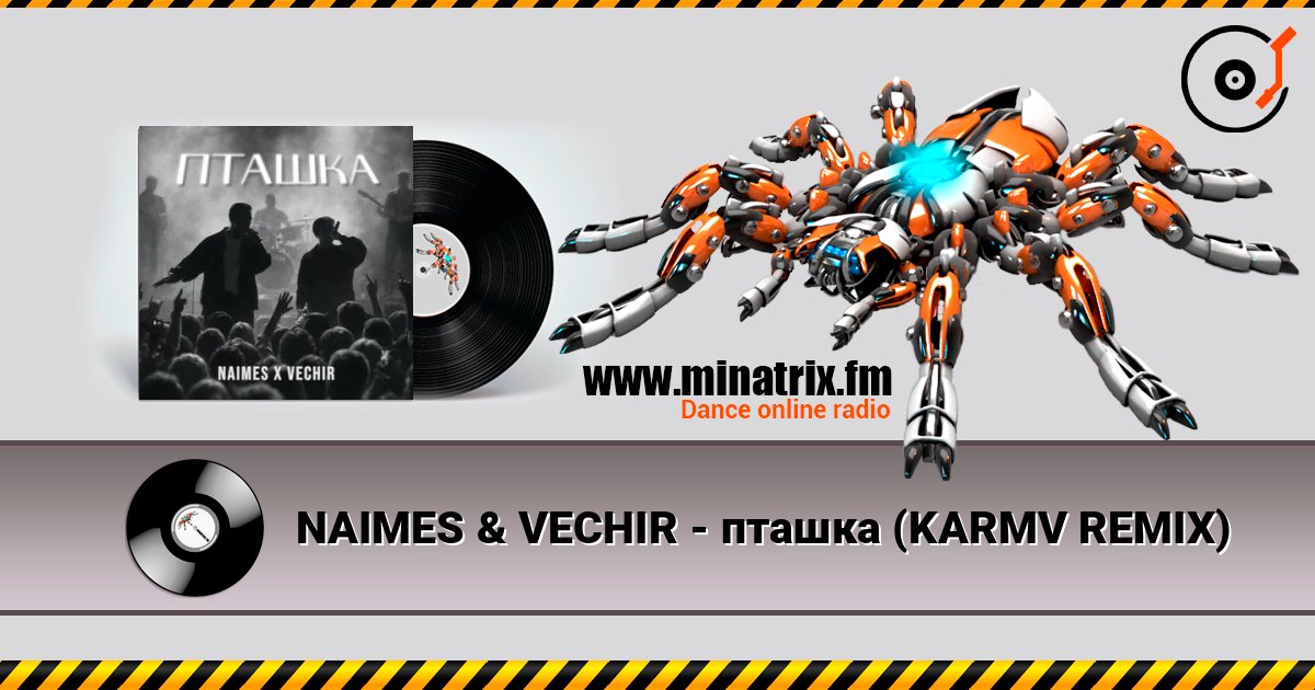 NAIMES & VECHIR - пташка (KARMV REMIX) listen online in high quality | Minatrix.FM