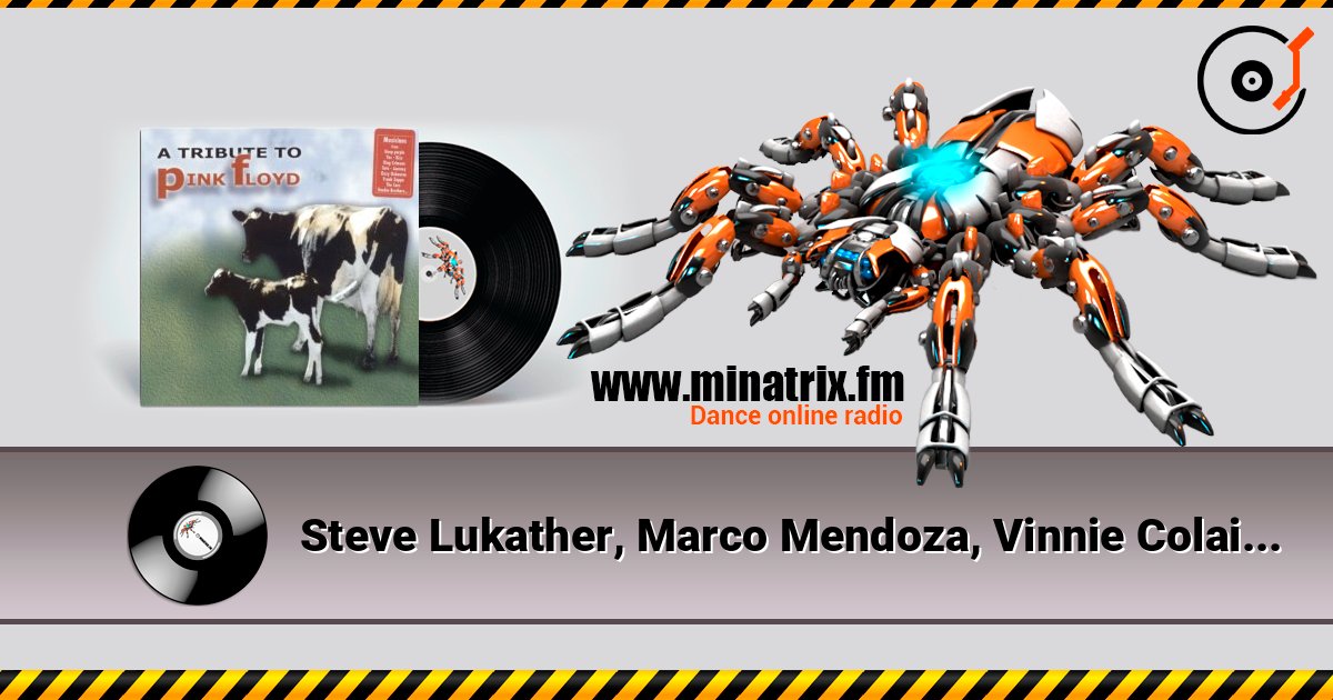 Steve Lukather, Marco Mendoza, Vinnie Colaiuta - Shine On You Crazy Daimond listen online in high quality | Minatrix.FM