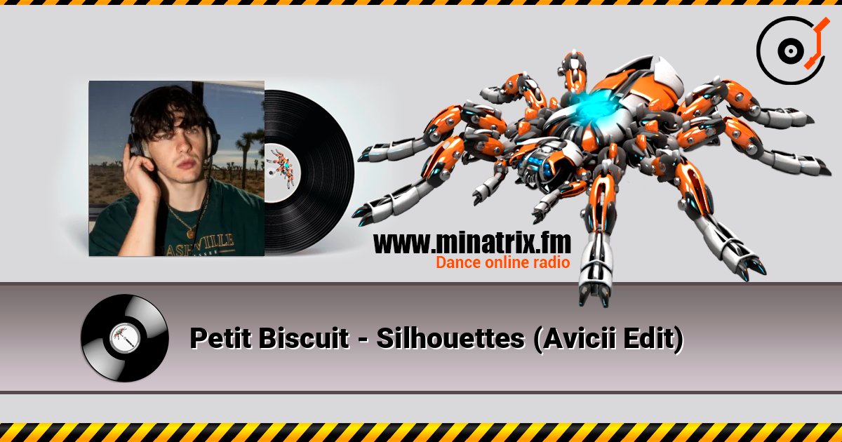 Petit Biscuit - Silhouettes (Avicii Edit) listen online in high quality | Minatrix.FM