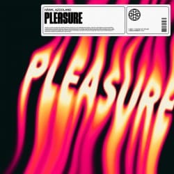 Cover HAWK - Pleasure (feat. Azooland)
