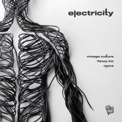 Cover Vintage Culture, Fancy Inc, Meca - Electricity