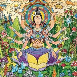 Cover Astrix - Deep Jungle Walk