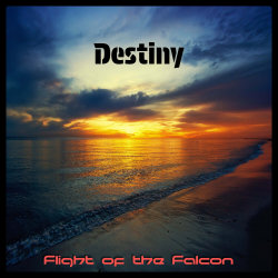 Cover Flight of the Falcon - Destiny (Radio edit)