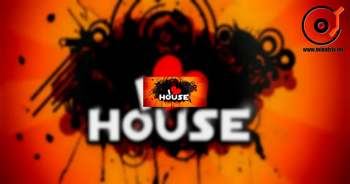 История создания и развития HOUSE-музыки [uk]