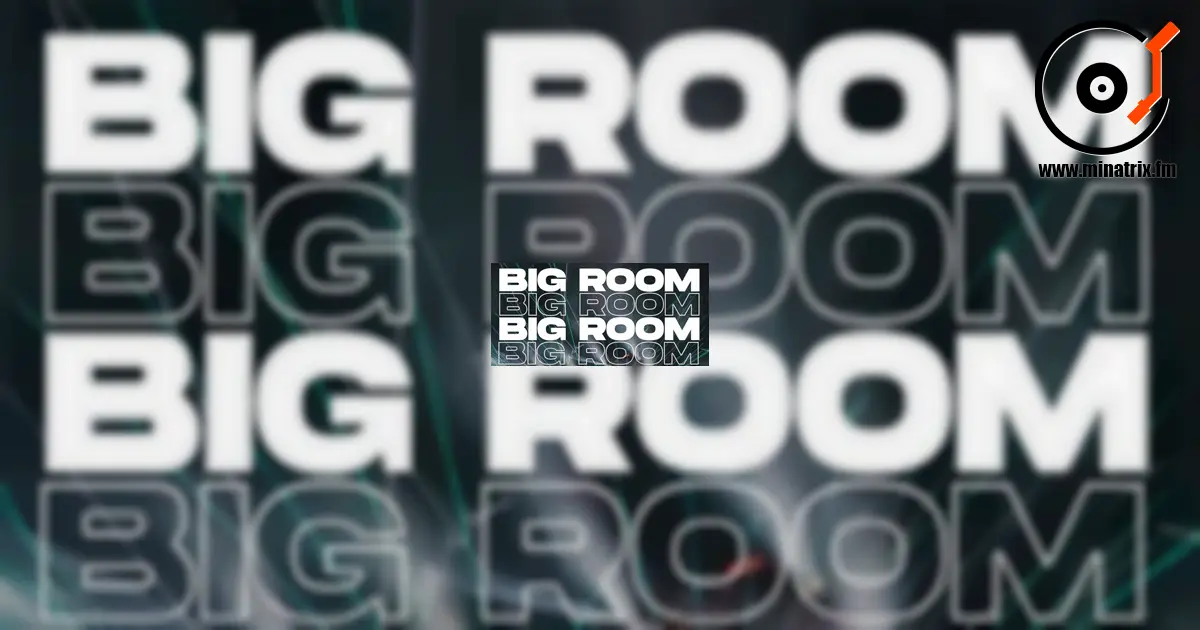 История Big Room House: Жанр, изменивший танцполы [en]